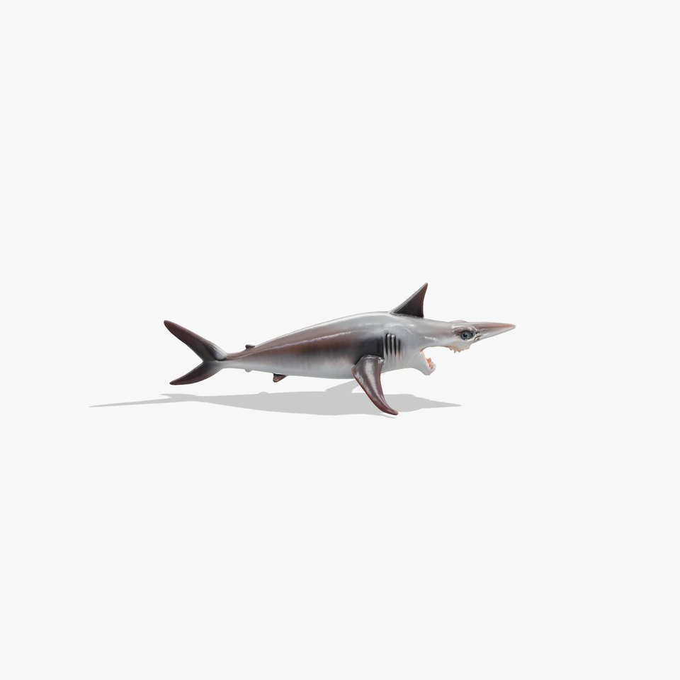 Goblin Shark Model with Elongated Snout and Protruding Jaws